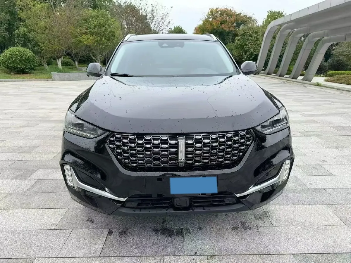 2021 WEY VV6 2.0T 227HP L4 7DCT,autocango,china used car exporter,china ev exporter,chinese used car exporter,chinese used ev exporter