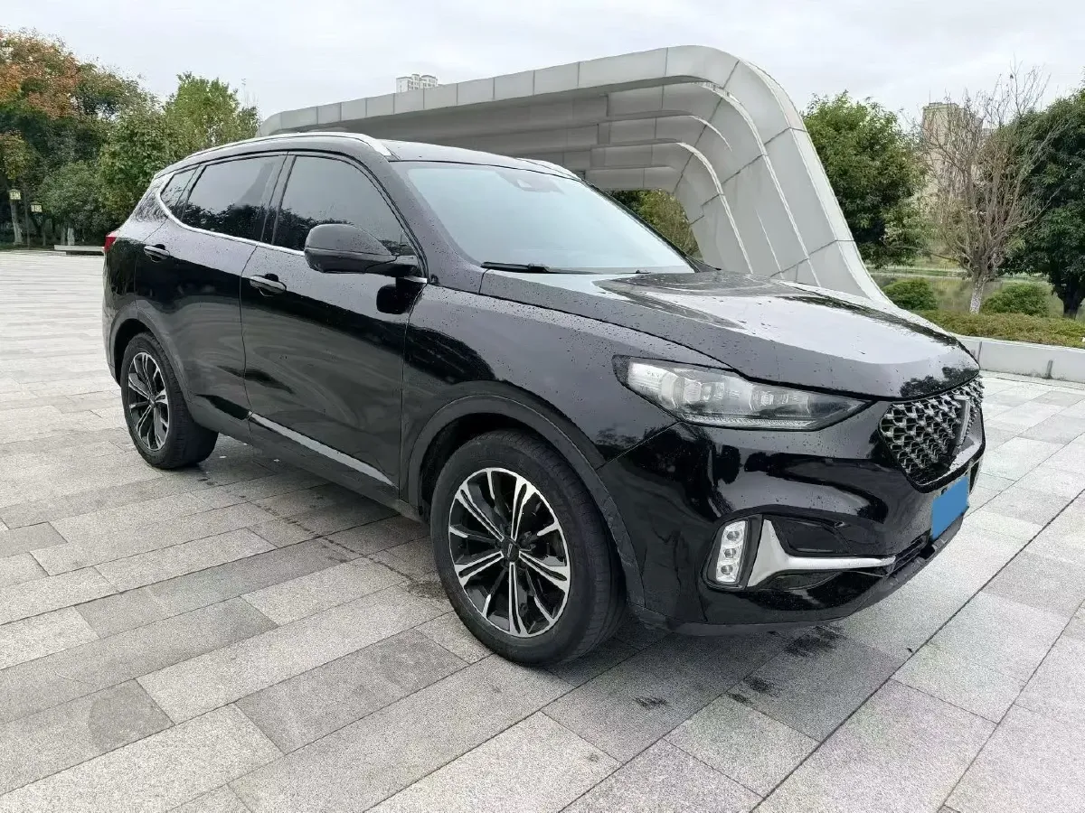 2021 WEY VV6 2.0T 227HP L4 7DCT,autocango,china used car exporter,china ev exporter,chinese used car exporter,chinese used ev exporter