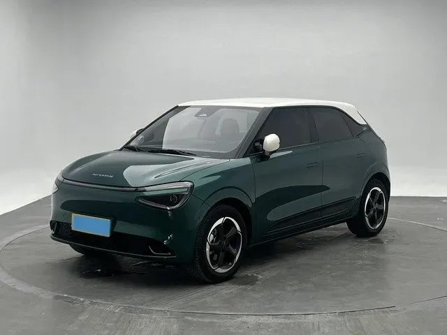 2025 DongFeng Nammi 01 BEV,autocango,china used car exporter,china ev exporter,chinese used car exporter,chinese used ev exporter