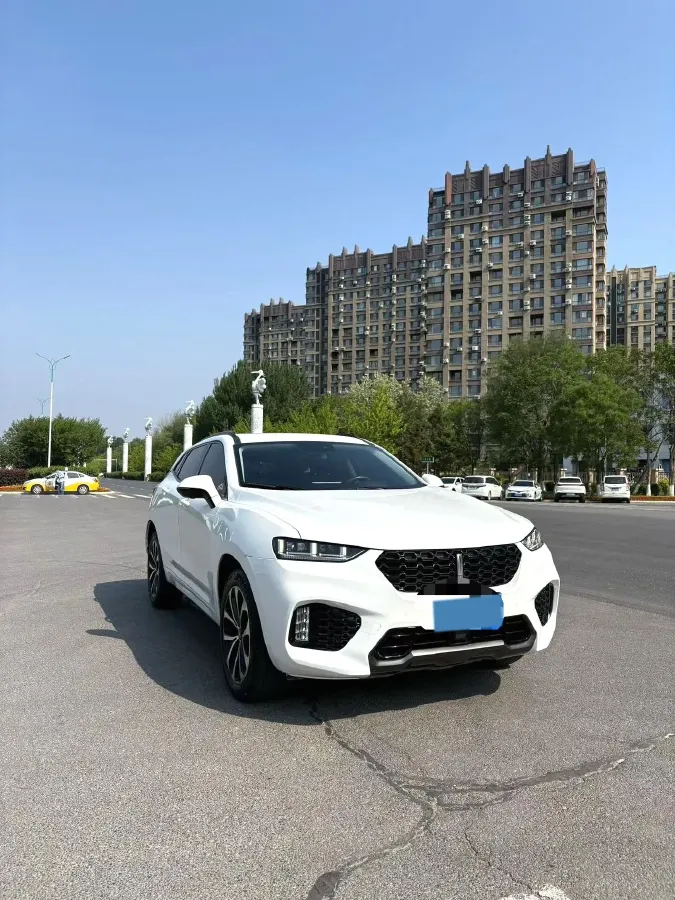 2017 WEY VV7 2.0T 234HP L4 7DCT,autocango,china used car exporter,china ev exporter,chinese used car exporter,chinese used ev exporter