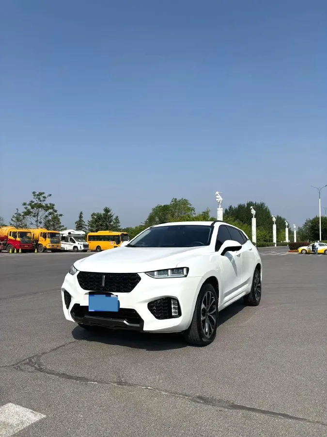 2017 WEY VV7 2.0T 234HP L4 7DCT,autocango,china used car exporter,china ev exporter,chinese used car exporter,chinese used ev exporter