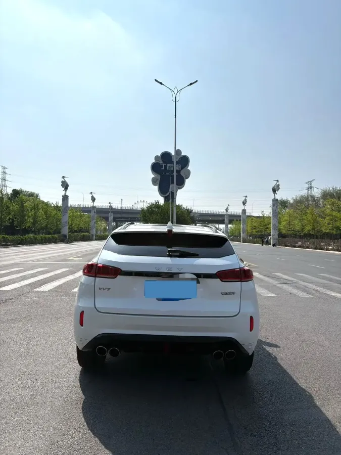 2017 WEY VV7 2.0T 234HP L4 7DCT,autocango,china used car exporter,china ev exporter,chinese used car exporter,chinese used ev exporter