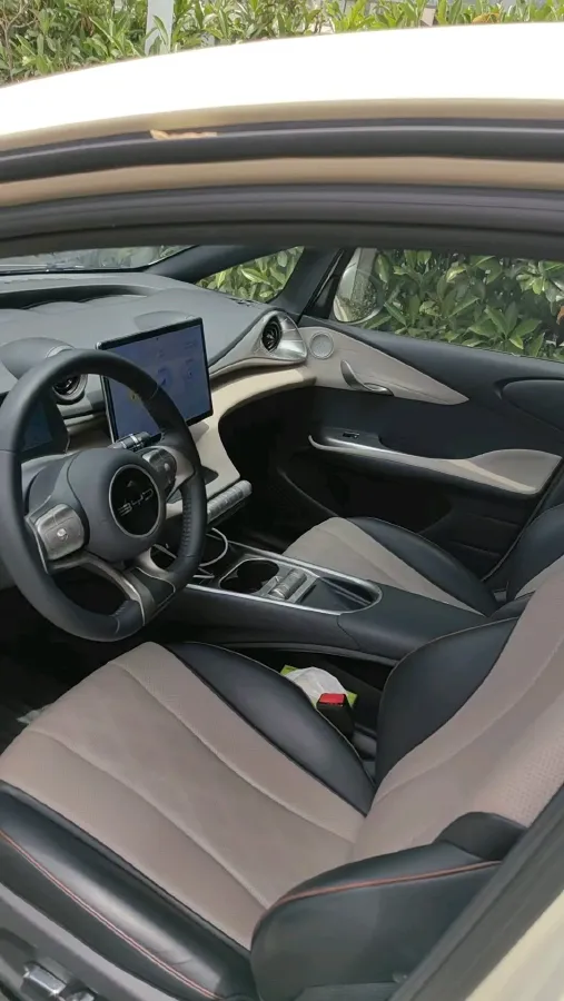 2023 BYD Dolphin BEV 44.928KWH,autocango,china used car exporter,china ev exporter,chinese used car exporter,chinese used ev exporter