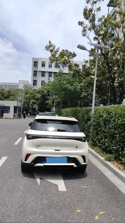2023 BYD Dolphin BEV 44.928KWH,autocango,china used car exporter,china ev exporter,chinese used car exporter,chinese used ev exporter