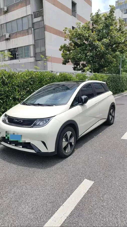 2023 BYD Dolphin BEV 44.928KWH,autocango,china used car exporter,china ev exporter,chinese used car exporter,chinese used ev exporter