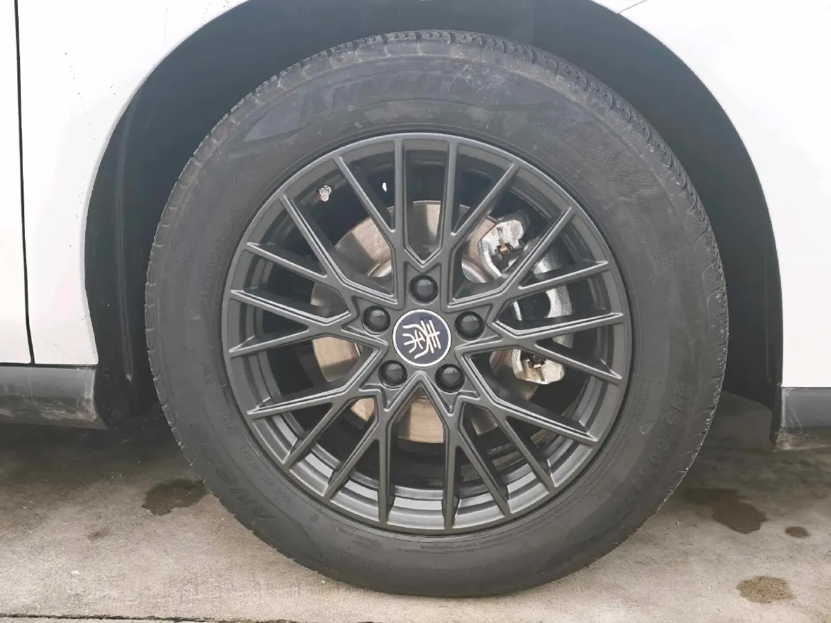 2025 BYD Qin Plus BEV 48KWH,autocango,china used car exporter,china ev exporter,chinese used car exporter,chinese used ev exporter