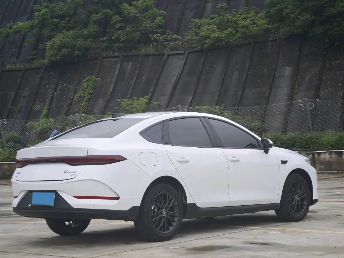 2025 BYD Qin Plus BEV 48KWH,autocango,china used car exporter,china ev exporter,chinese used car exporter,chinese used ev exporter