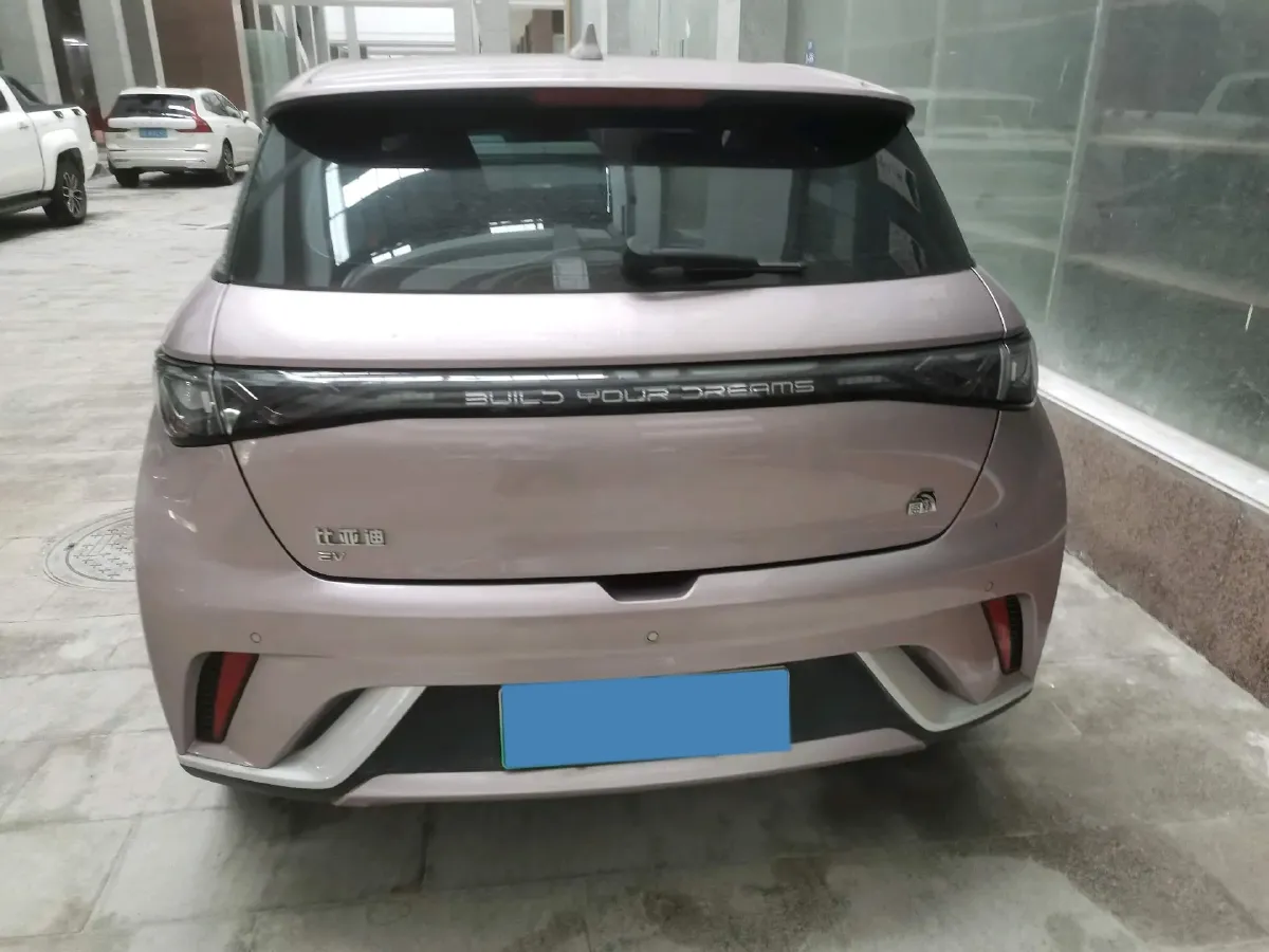 2023 BYD Dolphin BEV 44.928KWH,autocango,china used car exporter,china ev exporter,chinese used car exporter,chinese used ev exporter