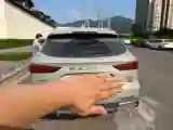 2023 Haval Fierce Dragon MAX 1.5L 116HP L4 2DHT PHEV 19.27KWH