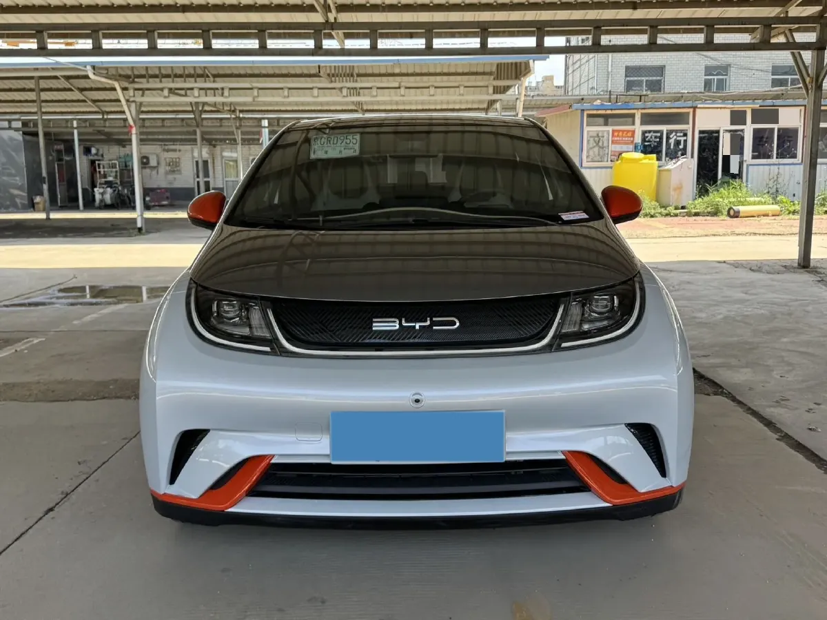 2021 BYD Yuan Pro BEV 50.1KWH,autocango,china used car exporter,china ev exporter,chinese used car exporter,chinese used ev exporter