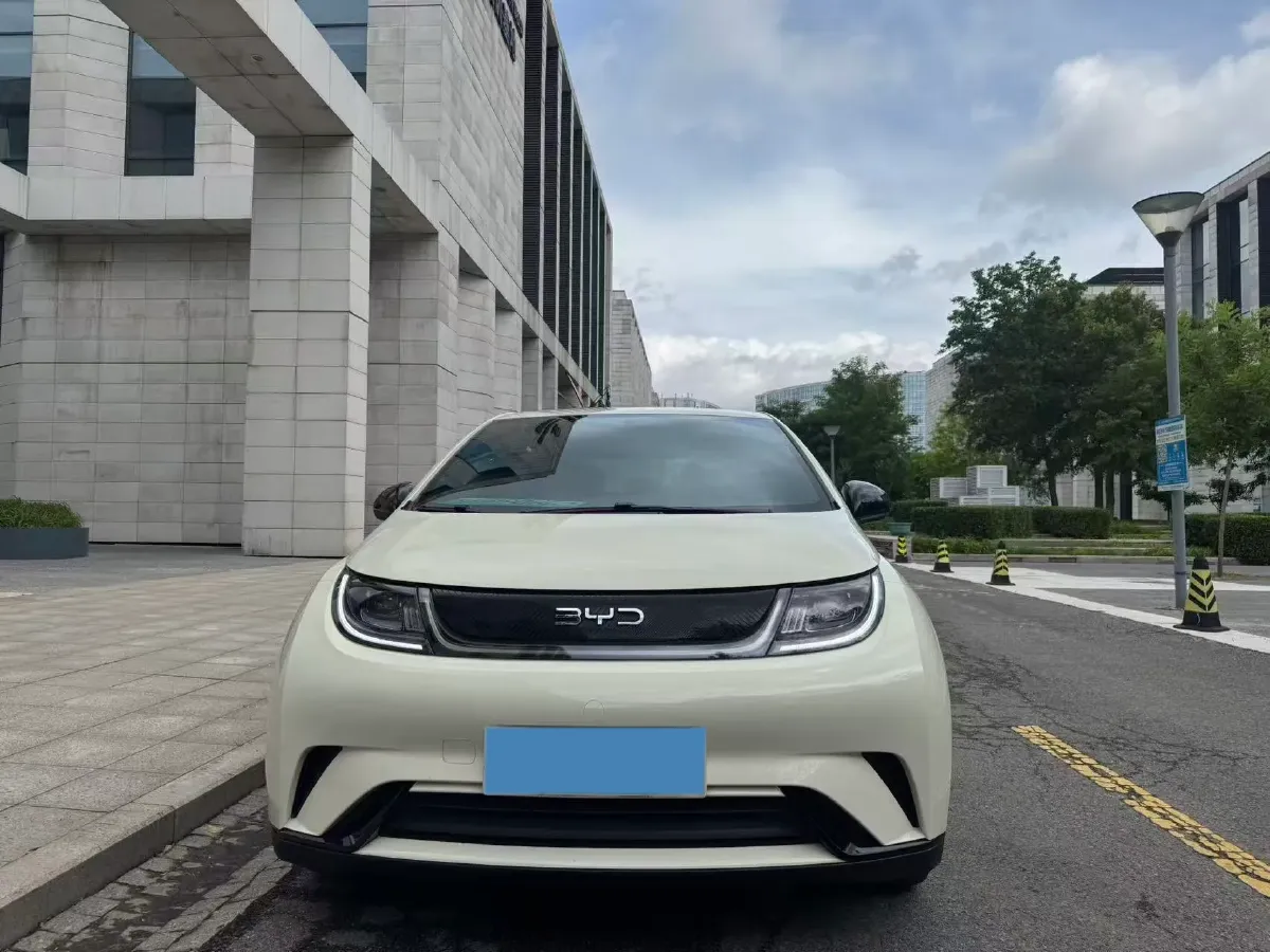 2024 BYD Dolphin BEV 44.928KWH,autocango,china used car exporter,china ev exporter,chinese used car exporter,chinese used ev exporter