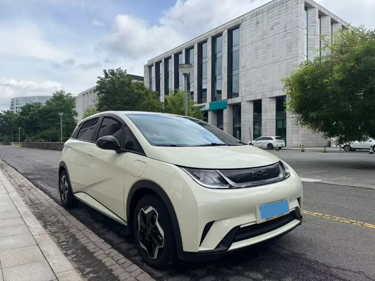 2024 BYD Dolphin BEV 44.928KWH,autocango,china used car exporter,china ev exporter,chinese used car exporter,chinese used ev exporter