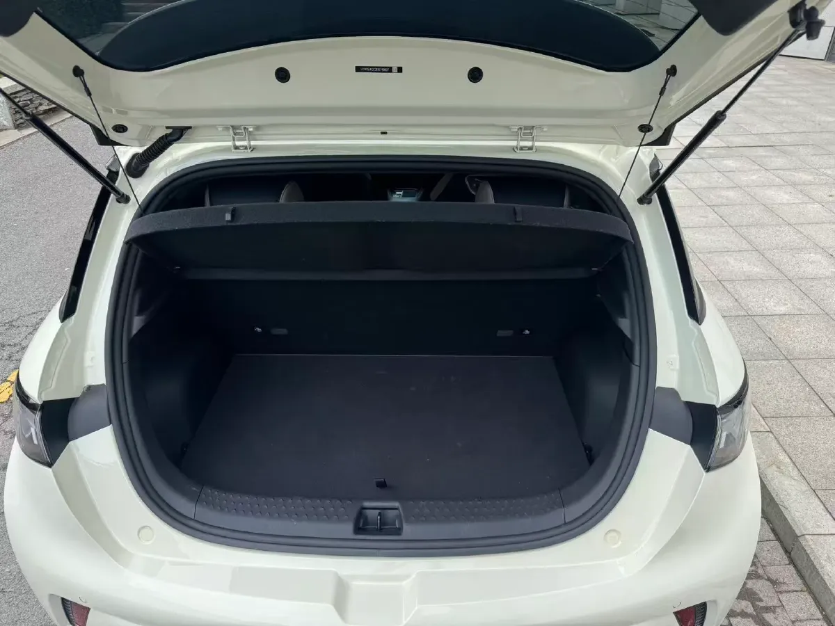 2024 BYD Dolphin BEV 44.928KWH,autocango,china used car exporter,china ev exporter,chinese used car exporter,chinese used ev exporter