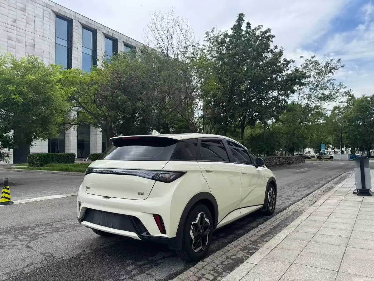 2024 BYD Dolphin BEV 44.928KWH,autocango,china used car exporter,china ev exporter,chinese used car exporter,chinese used ev exporter
