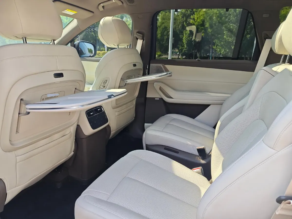 2025 Denza DenzaN8L 2.0T 207HP L4 E-CVT PHEV,autocango,china used car exporter,china ev exporter,chinese used car exporter,chinese used ev exporter