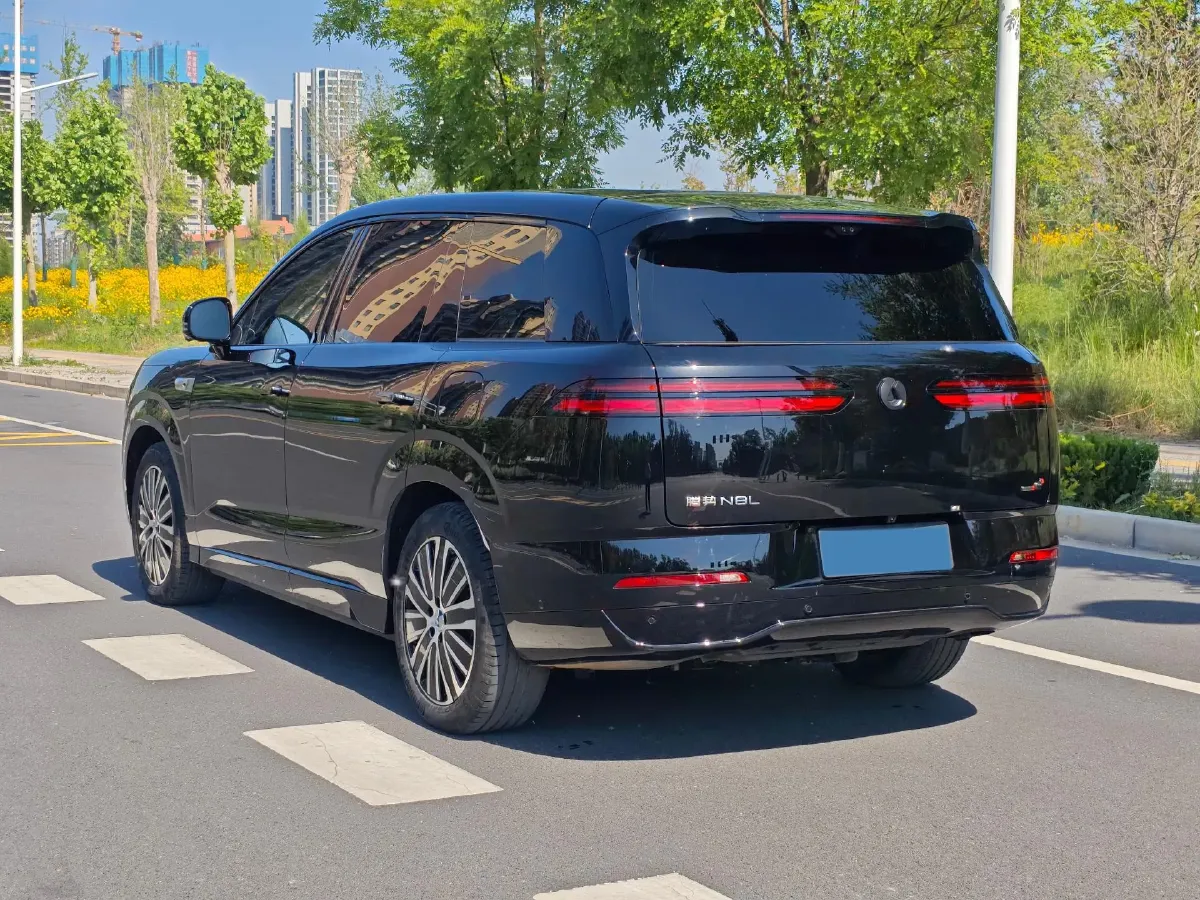 2025 Denza DenzaN8L 2.0T 207HP L4 E-CVT PHEV,autocango,china used car exporter,china ev exporter,chinese used car exporter,chinese used ev exporter