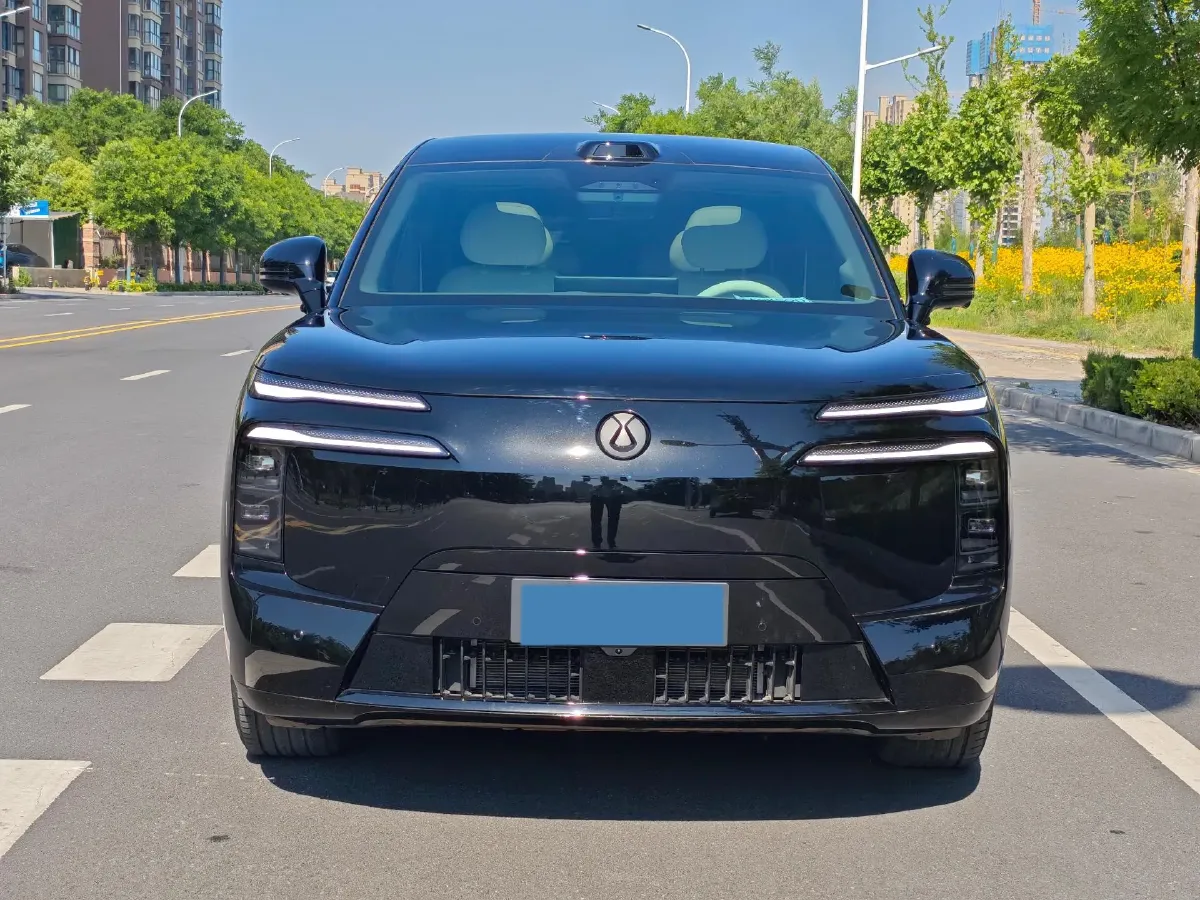 2025 Denza DenzaN8L 2.0T 207HP L4 E-CVT PHEV,autocango,china used car exporter,china ev exporter,chinese used car exporter,chinese used ev exporter