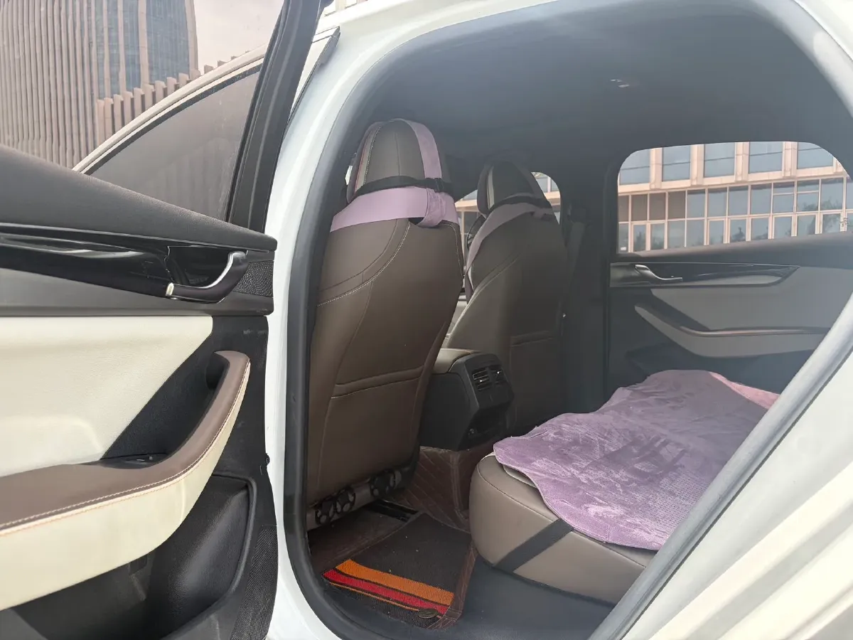 2021 DongFeng FuKang e Elysee BEV 38.4KWH,autocango,china used car exporter,china ev exporter,chinese used car exporter,chinese used ev exporter