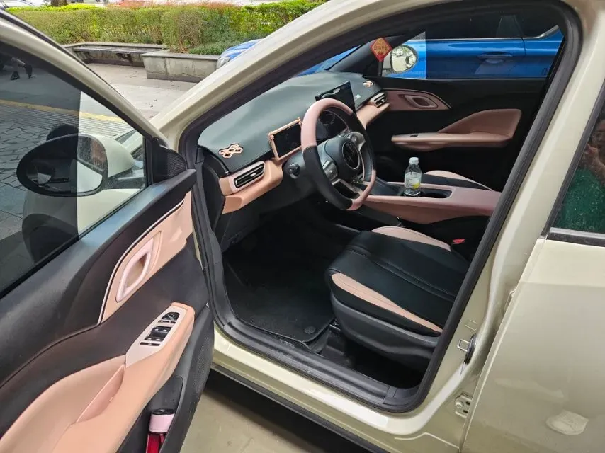 2025 BYD Seagull BEV 30.08KWH,autocango,china used car exporter,china ev exporter,chinese used car exporter,chinese used ev exporter