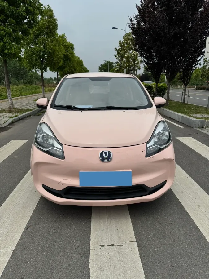 2023 ChangAn Oshan BenBen E-Star BEV 30.95KWH,autocango,china used car exporter,china ev exporter,chinese used car exporter,chinese used ev exporter