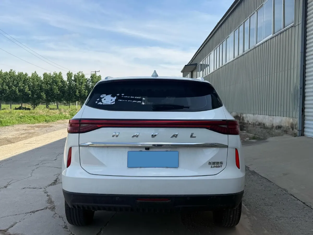 2024 Haval H6 2.0T 238HP L4 9DCT,autocango,china used car exporter,china ev exporter,chinese used car exporter,chinese used ev exporter