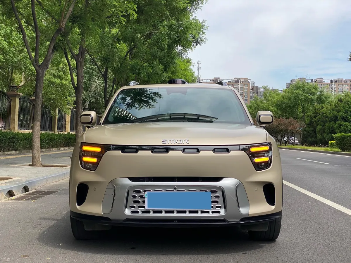 2024 Smart smart Elf 5 BEV 100KWH,autocango,china used car exporter,china ev exporter,chinese used car exporter,chinese used ev exporter