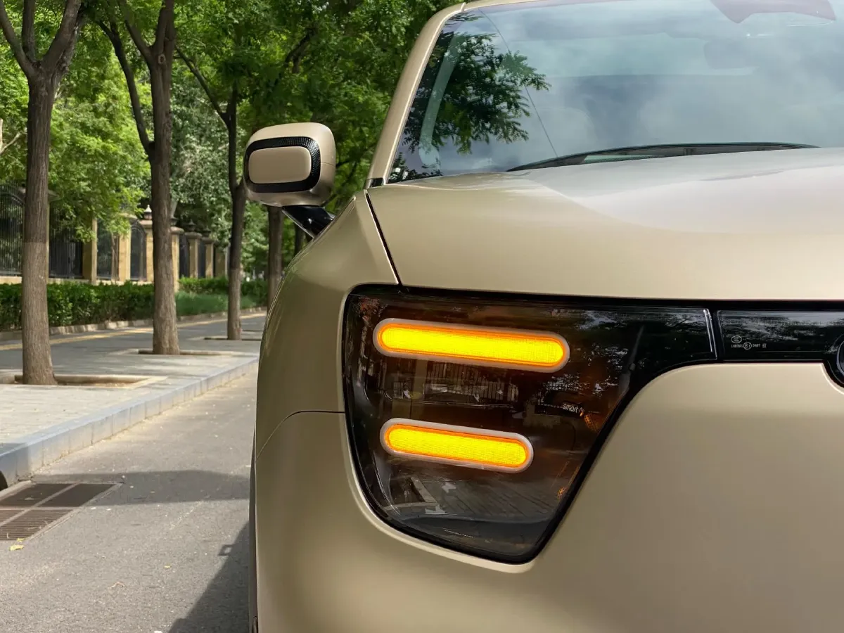2024 Smart smart Elf 5 BEV 100KWH,autocango,china used car exporter,china ev exporter,chinese used car exporter,chinese used ev exporter