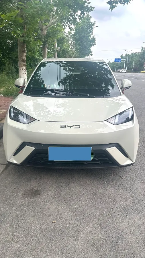 2024 BYD Seagull BEV 30.08KWH,autocango,china used car exporter,china ev exporter,chinese used car exporter,chinese used ev exporter