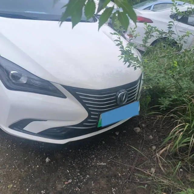 2019 ChangAn Eado BEV 52.56KWH,autocango,china used car exporter,china ev exporter,chinese used car exporter,chinese used ev exporter