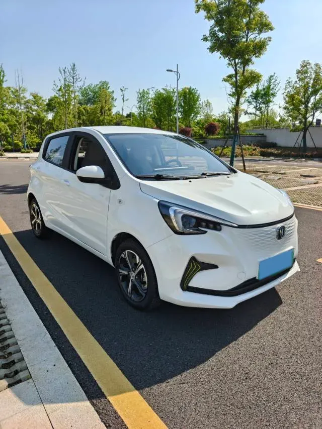 2020 ChangAn BenBen E-Star BEV 32.2KWH,autocango,china used car exporter,china ev exporter,chinese used car exporter,chinese used ev exporter