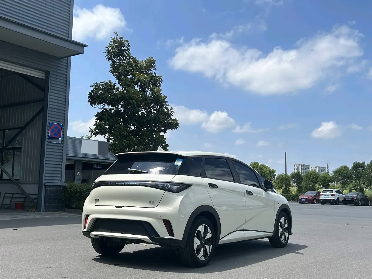 2024 BYD Dolphin BEV 44.928KWH,autocango,china used car exporter,china ev exporter,chinese used car exporter,chinese used ev exporter