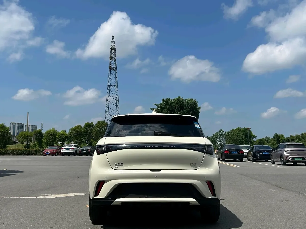 2024 BYD Dolphin BEV 44.928KWH,autocango,china used car exporter,china ev exporter,chinese used car exporter,chinese used ev exporter