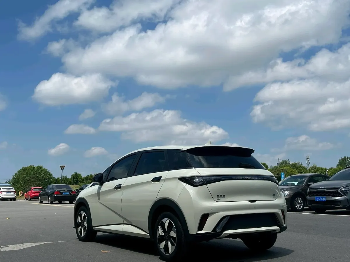2024 BYD Dolphin BEV 44.928KWH,autocango,china used car exporter,china ev exporter,chinese used car exporter,chinese used ev exporter