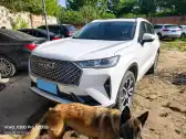 2021 HAVAL H6 2021 HAVAL H6,autocango,china used car exporter,china ev exporter,chinese used car exporter,chinese used ev exporter