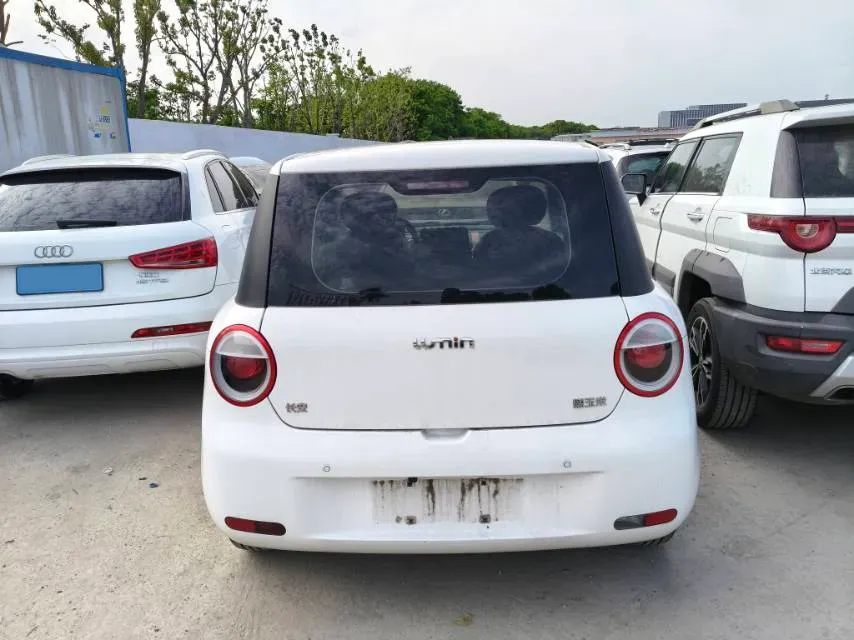 2022 ChangAn BenBen E-Star BEV 32.2KWH,autocango,china used car exporter,china ev exporter,chinese used car exporter,chinese used ev exporter