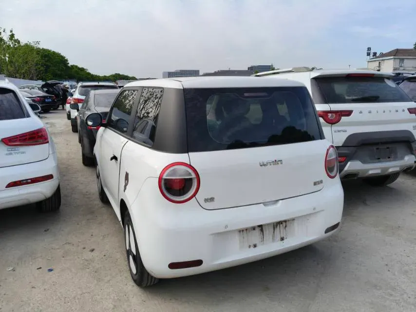 2022 ChangAn BenBen E-Star BEV 32.2KWH,autocango,china used car exporter,china ev exporter,chinese used car exporter,chinese used ev exporter