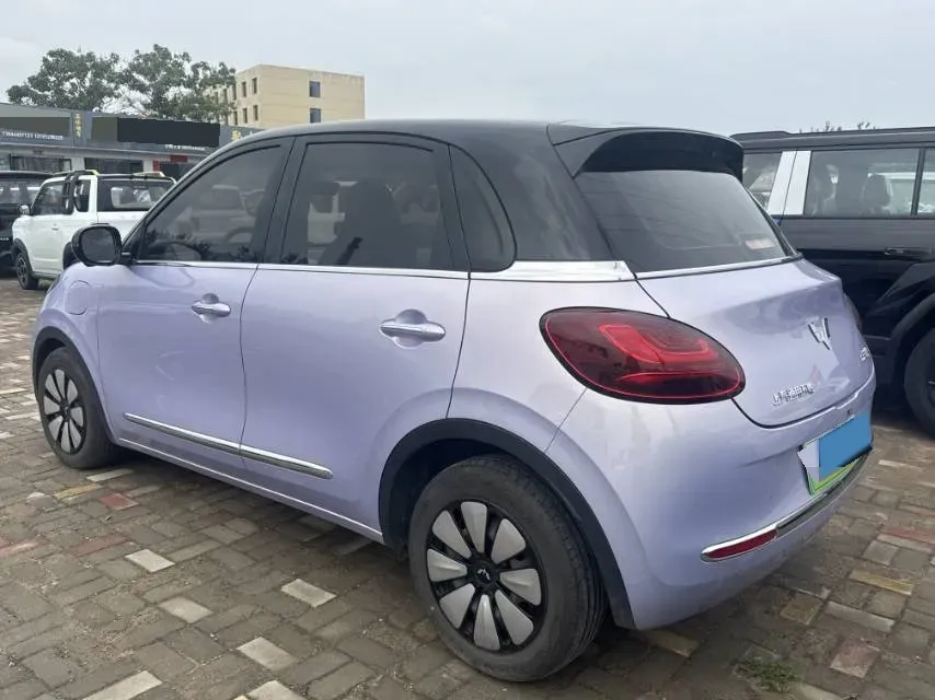 2024 WuLing BinGuo BEV 37.9KWH,autocango,china used car exporter,china ev exporter,chinese used car exporter,chinese used ev exporter