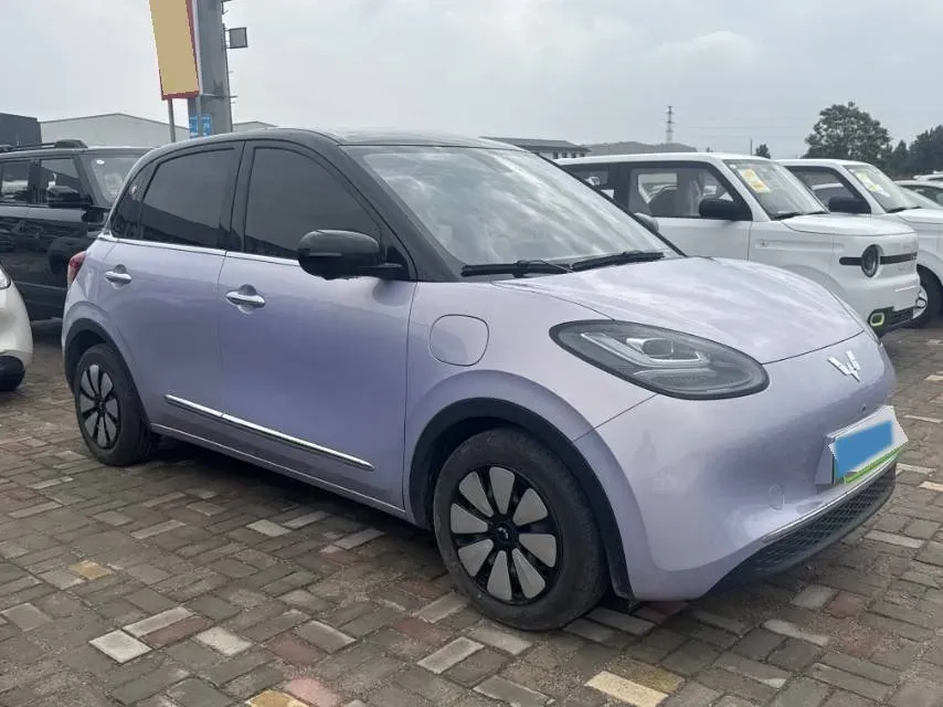 2024 WuLing BinGuo BEV 37.9KWH,autocango,china used car exporter,china ev exporter,chinese used car exporter,chinese used ev exporter