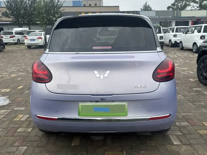 2024 WuLing BinGuo BEV 37.9KWH,autocango,china used car exporter,china ev exporter,chinese used car exporter,chinese used ev exporter