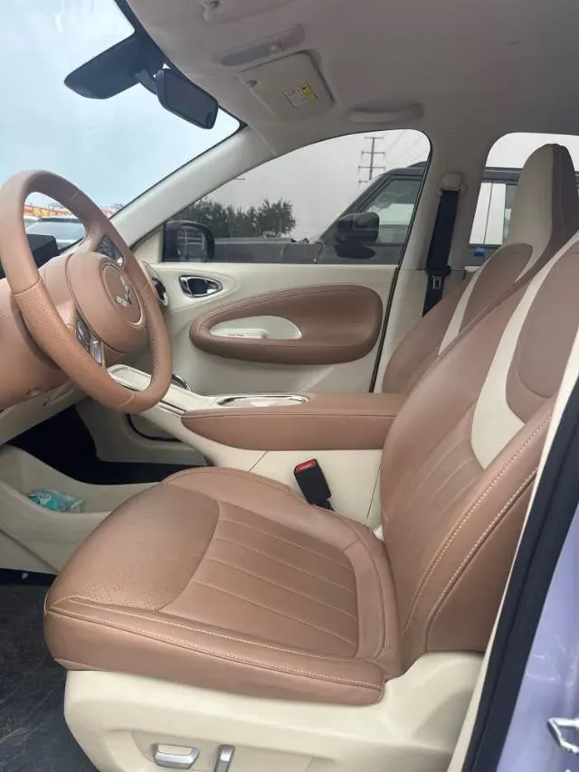 2024 WuLing BinGuo BEV 37.9KWH,autocango,china used car exporter,china ev exporter,chinese used car exporter,chinese used ev exporter
