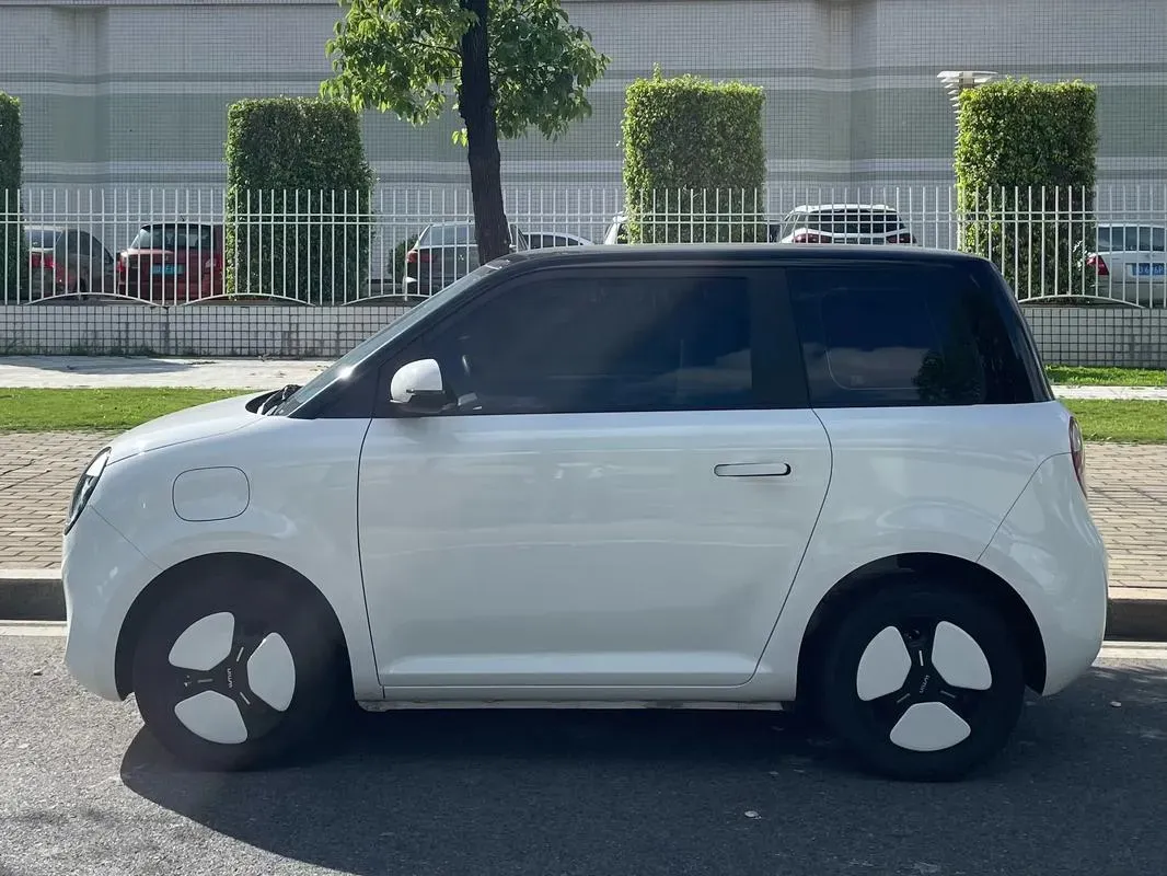 2024 ChangAn QiYuan Lumin BEV 17.65KWH,autocango,china used car exporter,china ev exporter,chinese used car exporter,chinese used ev exporter