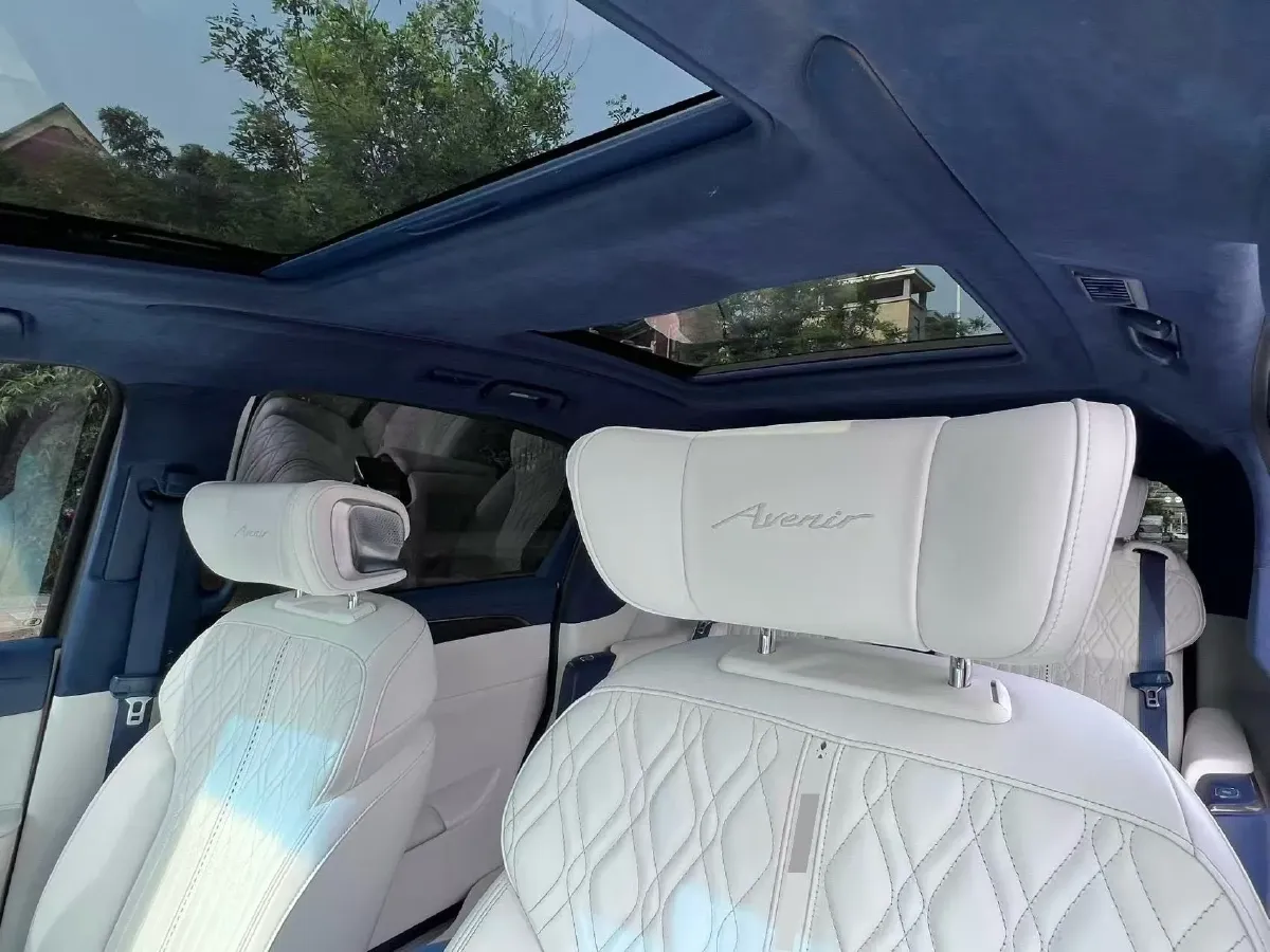 2020 Buick GL8 2.0T 237HP L4 9AT,autocango,china used car exporter,china ev exporter,chinese used car exporter,chinese used ev exporter