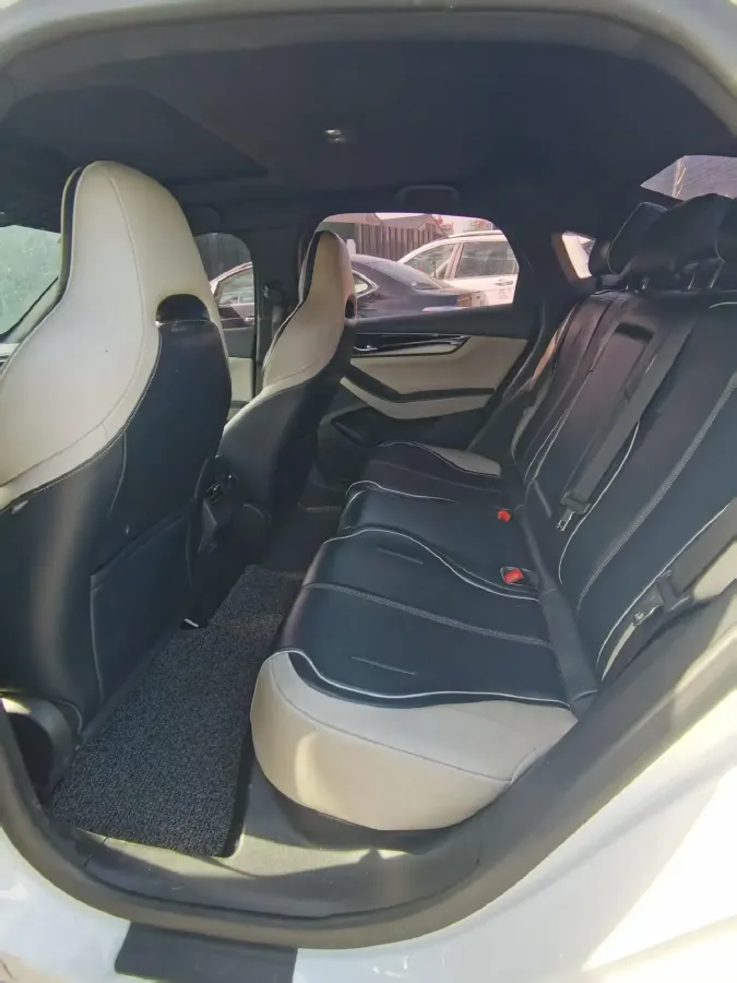 2021 DongFeng FuKang e Elysee BEV 30.7KWH,autocango,china used car exporter,china ev exporter,chinese used car exporter,chinese used ev exporter