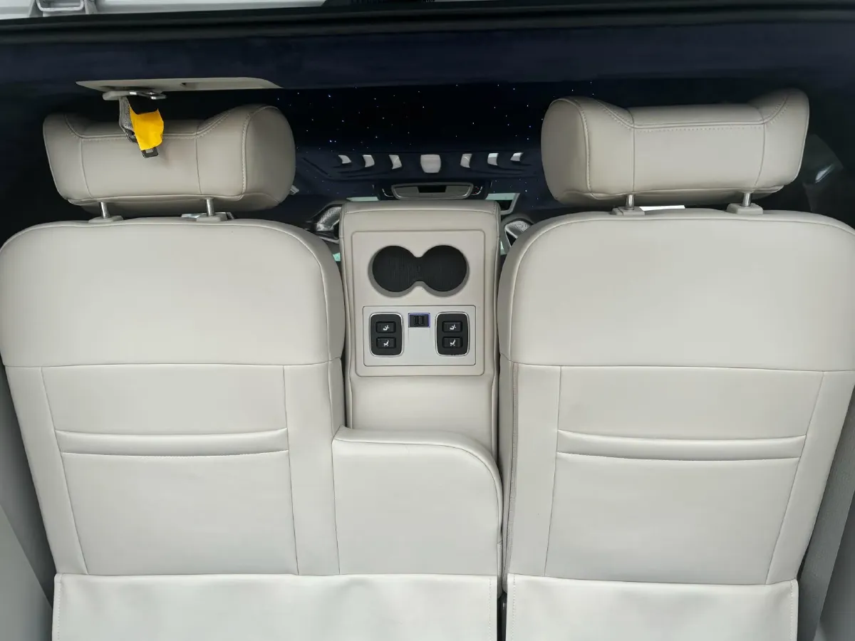 2020 Buick GL8 2.0T 237HP L4 9AT,autocango,china used car exporter,china ev exporter,chinese used car exporter,chinese used ev exporter