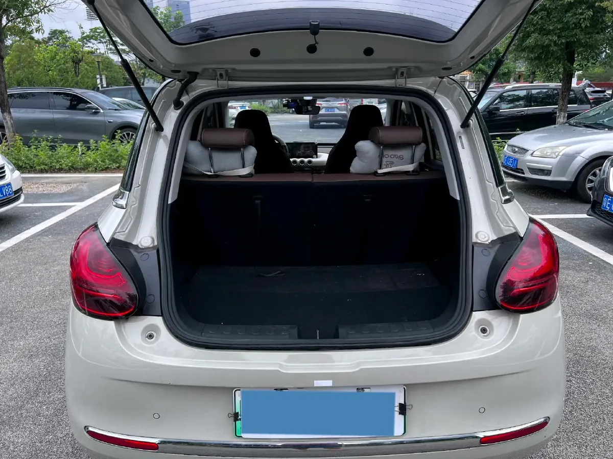 2023 WuLing BinGuo BEV 31.9KWH,autocango,china used car exporter,china ev exporter,chinese used car exporter,chinese used ev exporter