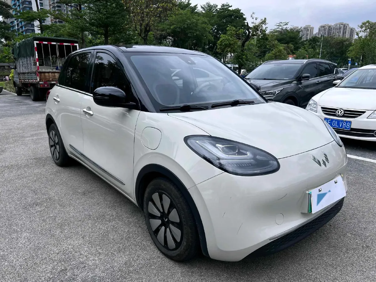 2023 WuLing BinGuo BEV 31.9KWH,autocango,china used car exporter,china ev exporter,chinese used car exporter,chinese used ev exporter
