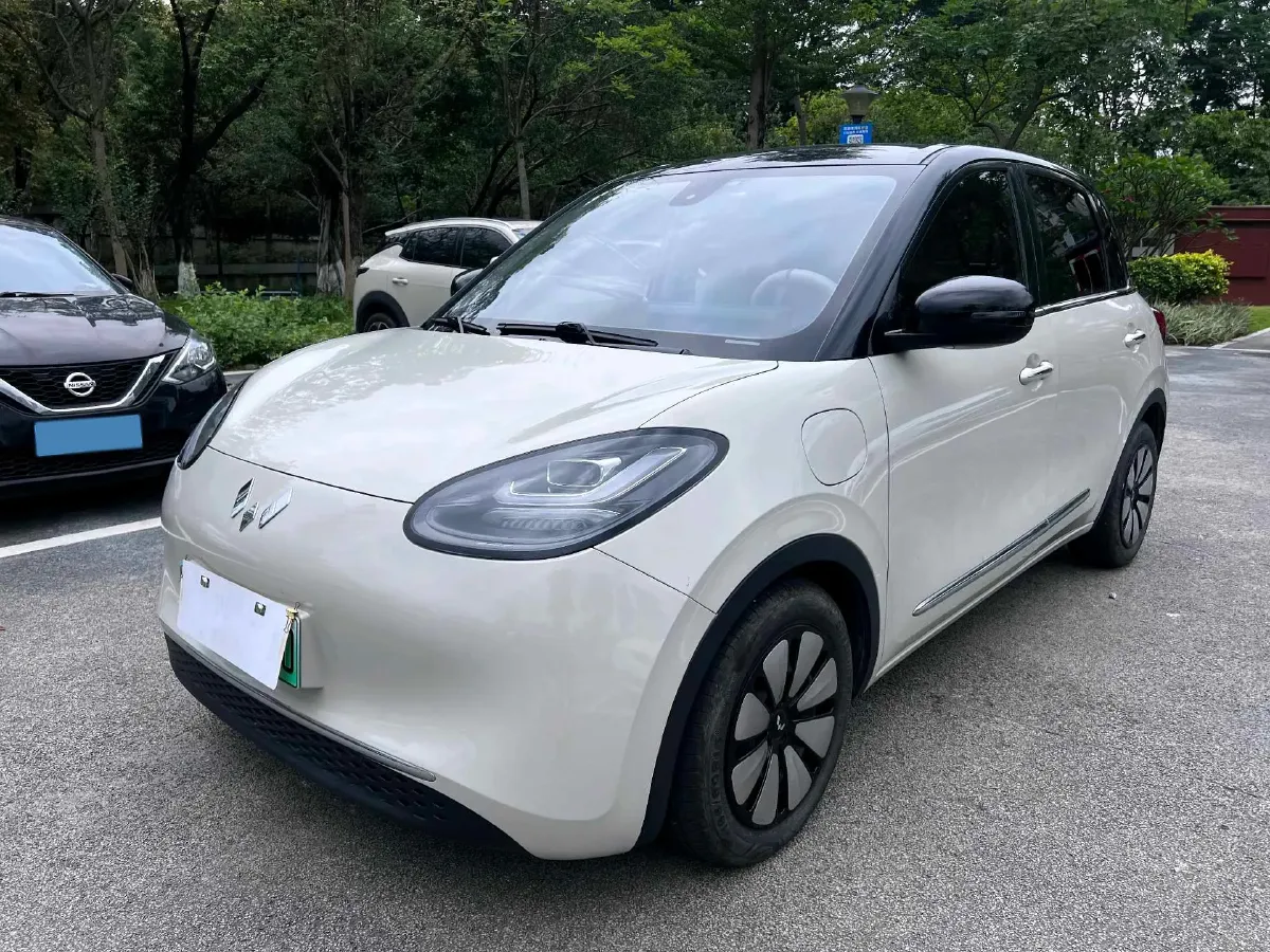 2023 WuLing BinGuo BEV 31.9KWH,autocango,china used car exporter,china ev exporter,chinese used car exporter,chinese used ev exporter