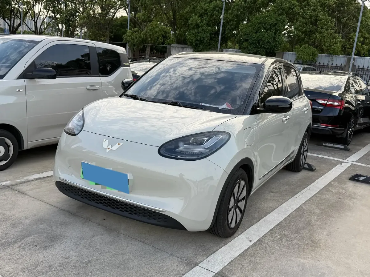 2023 WuLing BinGuo BEV 31.9KWH,autocango,china used car exporter,china ev exporter,chinese used car exporter,chinese used ev exporter