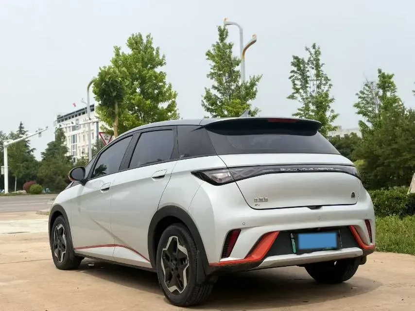 2021 BYD Yuan Pro BEV 50.1KWH,autocango,china used car exporter,china ev exporter,chinese used car exporter,chinese used ev exporter