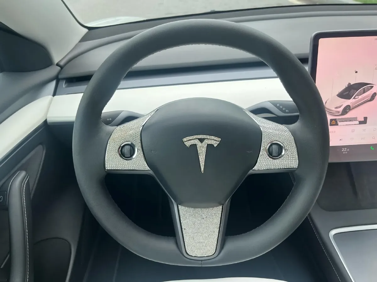 2021 Tesla Model 3 BEV 55KWH,autocango,china used car exporter,china ev exporter,chinese used car exporter,chinese used ev exporter